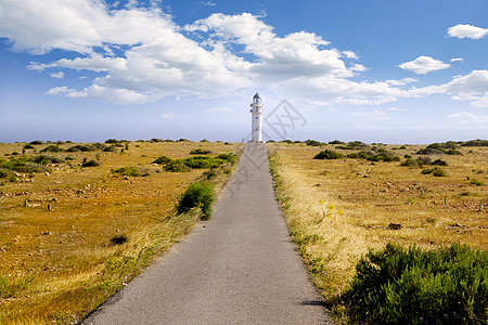 灯塔 Formentera草地 伊维萨岛 西班牙 岛图片