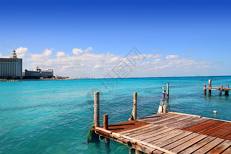 坎昆木码头热带加勒比海 海岸 木头 海滩 海鸥 海景图片