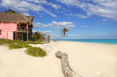 墨西哥的加勒比沙滩热带住房 加勒比沙滩 晴天图片