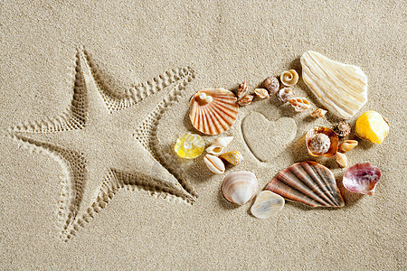 沙滩白沙沙心形海星夏季印刷品图片