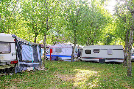 露营营营地绿野外树图片