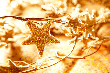 星星标来自分支的 christmas 金星符号背景