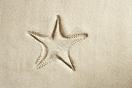 沙滩海星海星在夏季印刷白卡西比沙沙 金的 季节图片