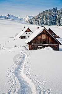 阿尔卑斯山的冬天 蓝色的 雪 旅行 奥地利 奥地利人图片