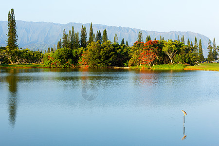 纳帕利山脉和湖泊 海岸 阳光 天堂 天空 美丽 树木图片