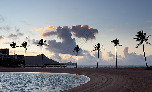 黎明在怀基基 Waikiki 的棕榈树 夏天图片