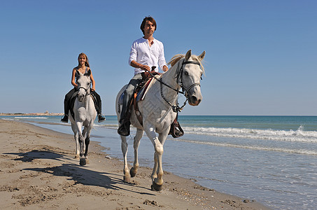 骑马在沙滩上 闲暇 蓝色的 卡马格 漂亮的 海洋 美丽的图片
