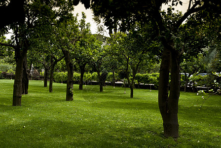 果园的花园里 有上贝罗维托多里亚酒店 旅行图片