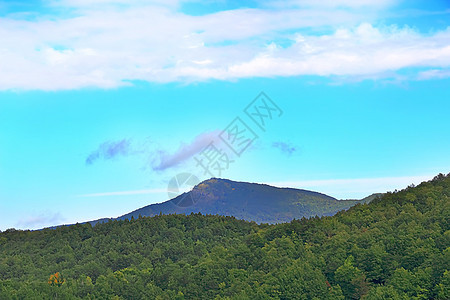 高加索绿色山脉的夏季风景景观 荒野 植物群 树图片