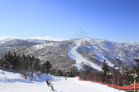 滑雪运行 雪花 滑雪胜地 冬天 天空 阳光 日本 滑雪道图片