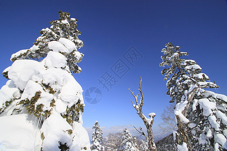 滑雪运行 季节 冰 粉雪 滑雪胜地 滑雪道 日本 假期图片