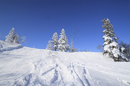 滑雪运行 寒冷的 八幡平 天空 滑雪道 阳光 雪原背景图片