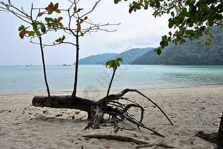 Surin岛国家公园 旅行 红色的 热带 放松图片
