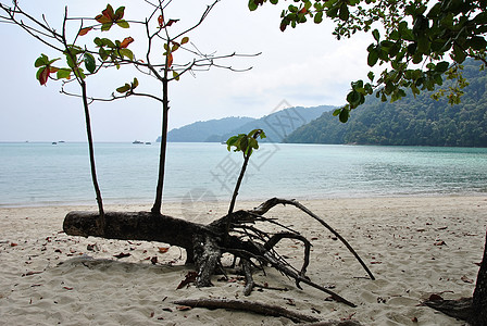 Surin岛国家公园 情绪 亚洲 旅行 海岸 海浪图片