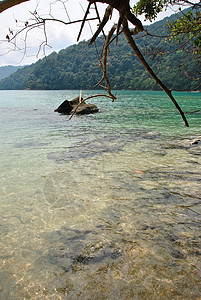 Surin岛国家公园 海滩 假期 水 亚洲 天堂图片