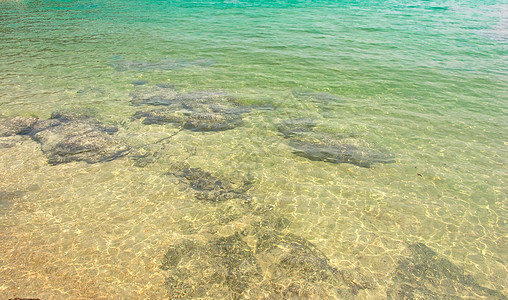 Surin岛国家公园 浪漫的 苏林 海洋 反射 海图片