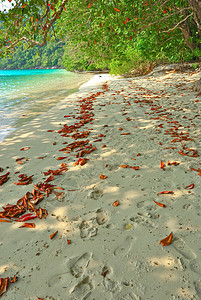 Surin岛国家公园 浪漫的 天空 浪漫 美丽的 海滩图片