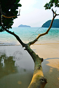 泰国的素林岛国家公园 情绪 海洋 自然 清除图片