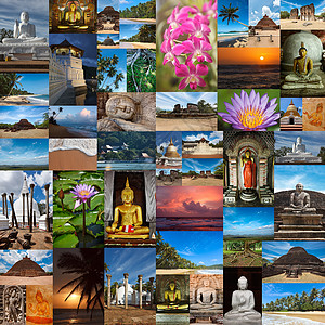 斯里兰卡图像的拼凑 热带 废墟 天堂 雕像 寺庙图片