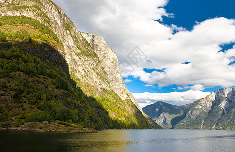 挪威湾 山地和天空 水 岩石 旅行 欧洲 树 娱乐图片