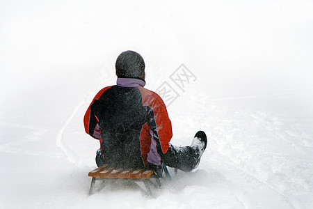 雪地里玩得开心 雪橇图片
