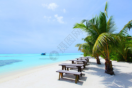 热带热带岛屿 地平线 太阳 海岸 晴天 蓝色的 假期 放松图片