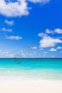 巴巴多斯 加勒比和巴巴多斯福湾 海滩 海景 岛屿图片