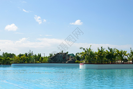 游泳池 洗澡 假期 热带 后院 旅游 天堂 旅行图片