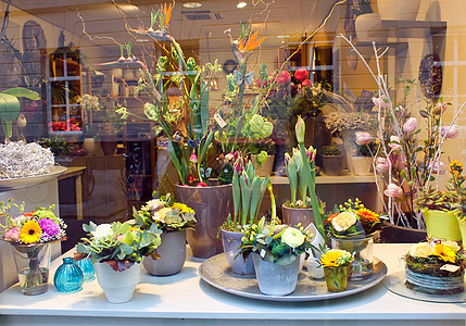 荷兰Den Bosch的露天花卉店图片