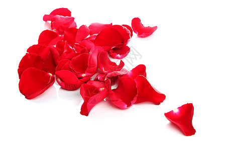 玫瑰的金属 红色的 婚礼 假期 花店 情人节 庆祝 自然 花的图片