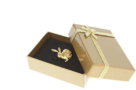 金兔装在礼物盒里 白色的金丝带被孤立图片