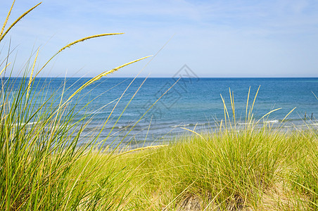沙滩沙丘 冷清 地平线 支撑 加拿大 风景 海 假期 逃离图片