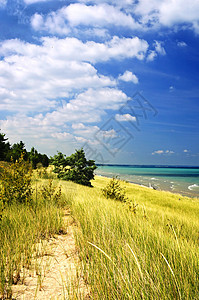 沙滩沙丘 风景 公园 放松 海岸线 自然 草 海洋 海图片