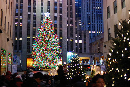 圣诞树 庆祝 城市 建筑 圣诞节背景图片