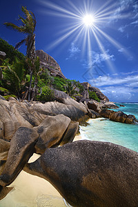 海滩沿岸的大巨石和棕榈树 太阳 闪耀 地平线图片