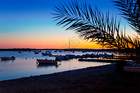 明日日日落在和平之地 日出 西班牙 海 太阳 美丽的图片