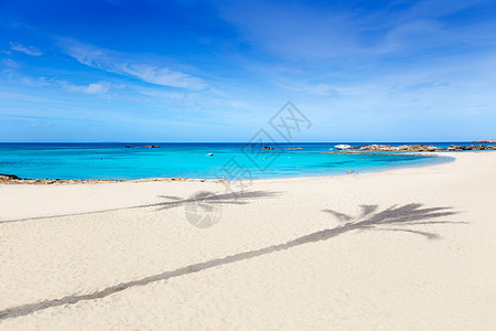 福门特拉岛白沙绿松石海滩 旅游 伊维萨岛 透明的 地标图片