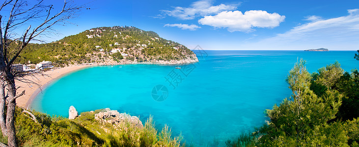 伊比萨岛的空中视图 蓝色的 桑特 假期 全景 伊维萨岛 松树图片