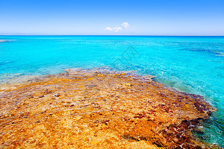具有松绿海的海滩 地中海 岩石 水 假期 透明的图片
