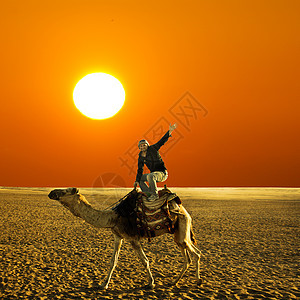 在骆驼上摆起姿势 干燥 男人 突尼斯 自然 文化图片