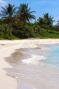 波多黎各白沙滩图片