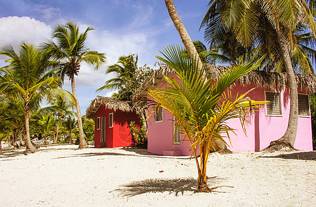 加勒比美丽的海滩别墅 带有椰子树图片