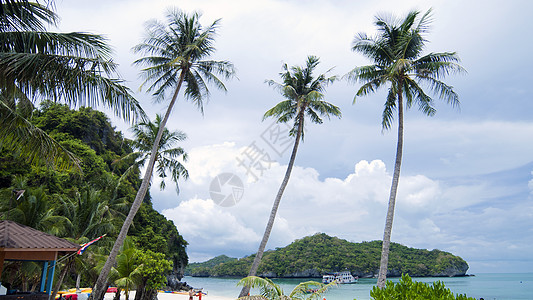 泰国沙滩上的椰子树 休息 云 自然 异国情调 海岸线图片