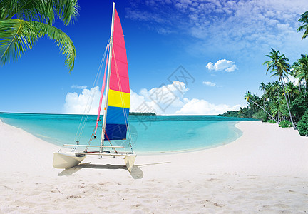 热带热带海滩 阳光 运动 风景优美的 天堂 海洋 棕榈图片