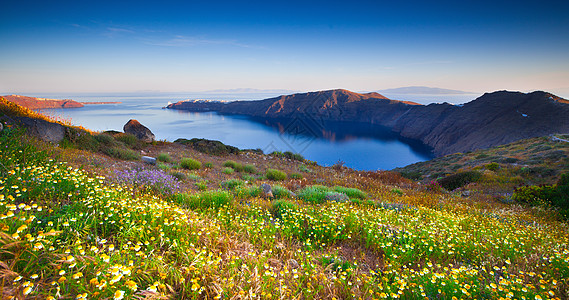 圣山野花图片