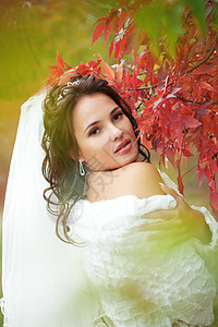 美丽的新娘 天 可爱的 树叶 户外 绿色的 坐着 年轻的 华丽的图片