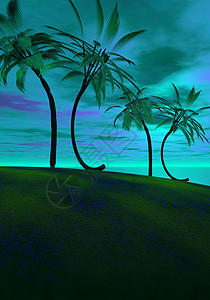棕榈 假期 太平洋 户外 自然 休息 大溪地 游泳 天空 绿松石背景图片