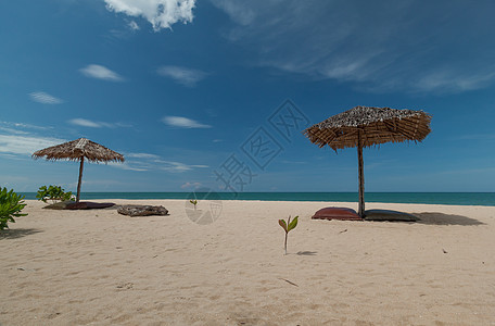 和美丽的雨伞 躺椅 夏天 阳伞 海岸 热带 天空图片