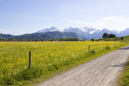 德国阿尔卑斯山的可爱全景 巴伐利亚 假期图片
