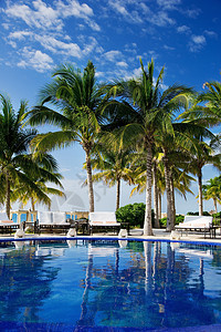 热带热带度假地 墨西哥 自然 蓝色的 异国情调 阳光 娱乐图片
